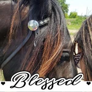 Meet your Posher, Raquel